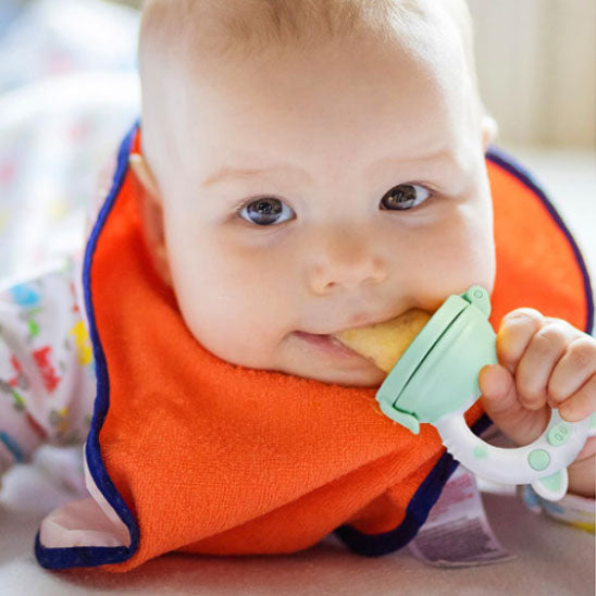 grignoteuse bébé | tetne baby pig™