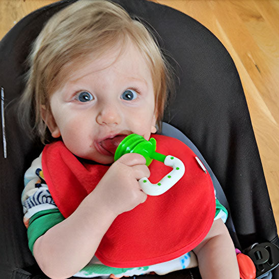 grignoteuse pour bébé