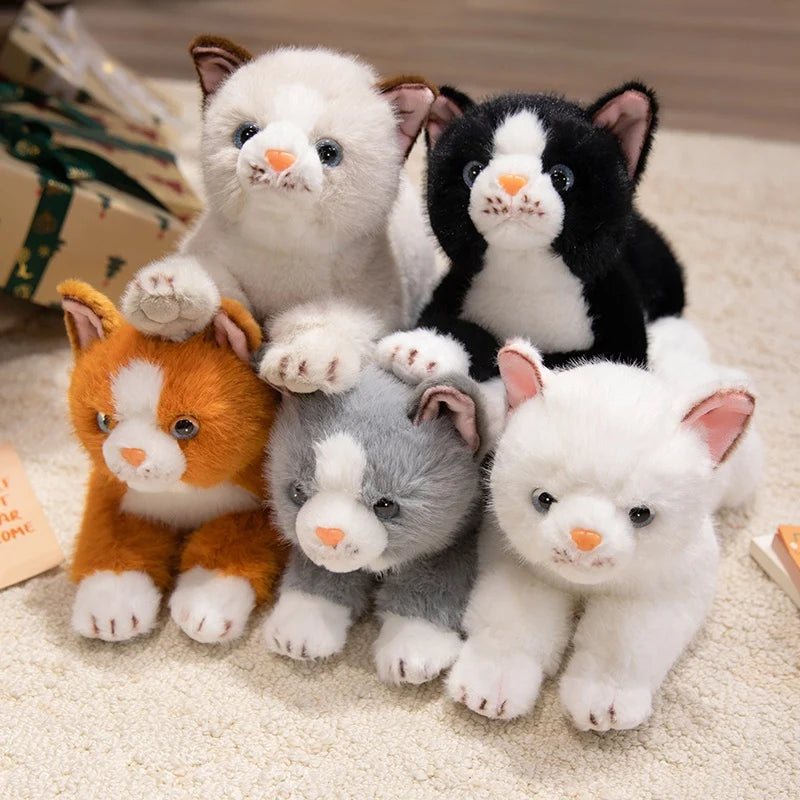 peluche chat 
