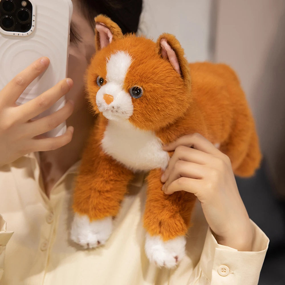 peluche chat 