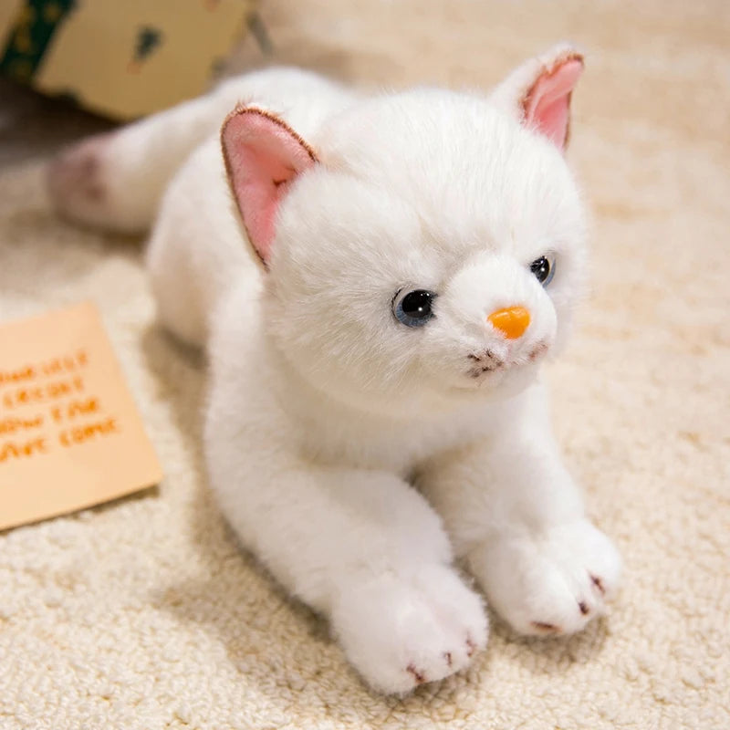 peluche chat banche