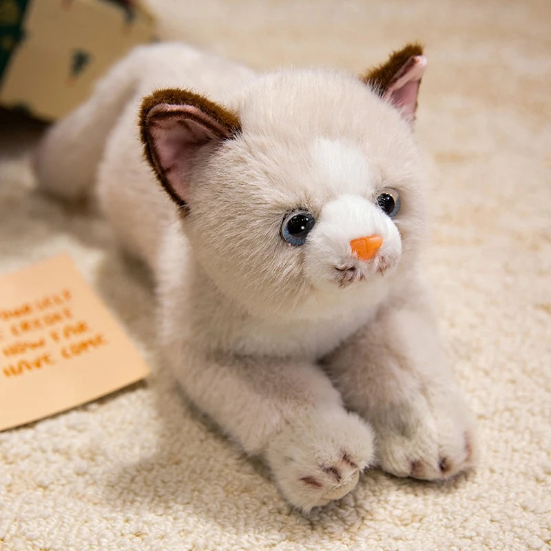 peluche chat