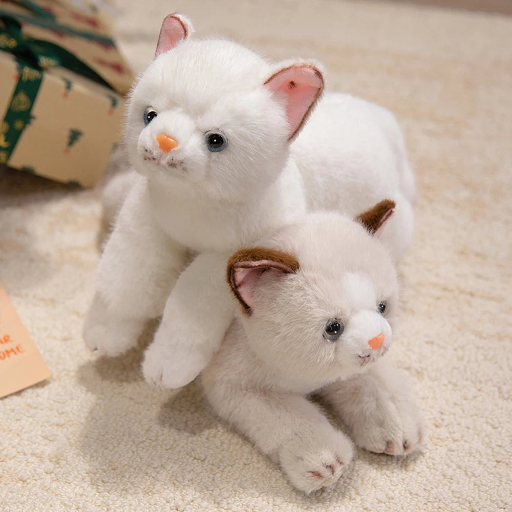 peluche chat blanche