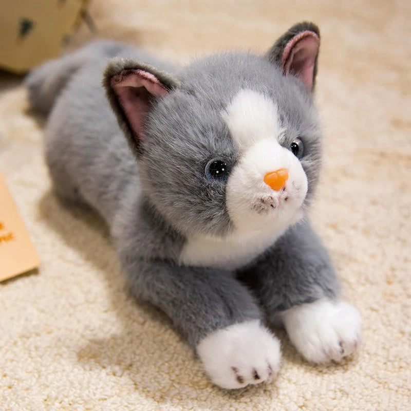 peluche chat grise