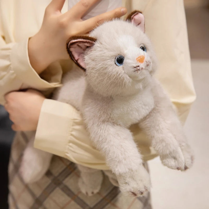 peluche chat