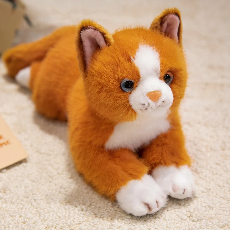 peluche chat