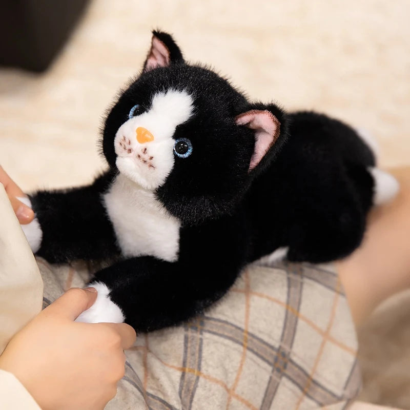 peluche chat noire