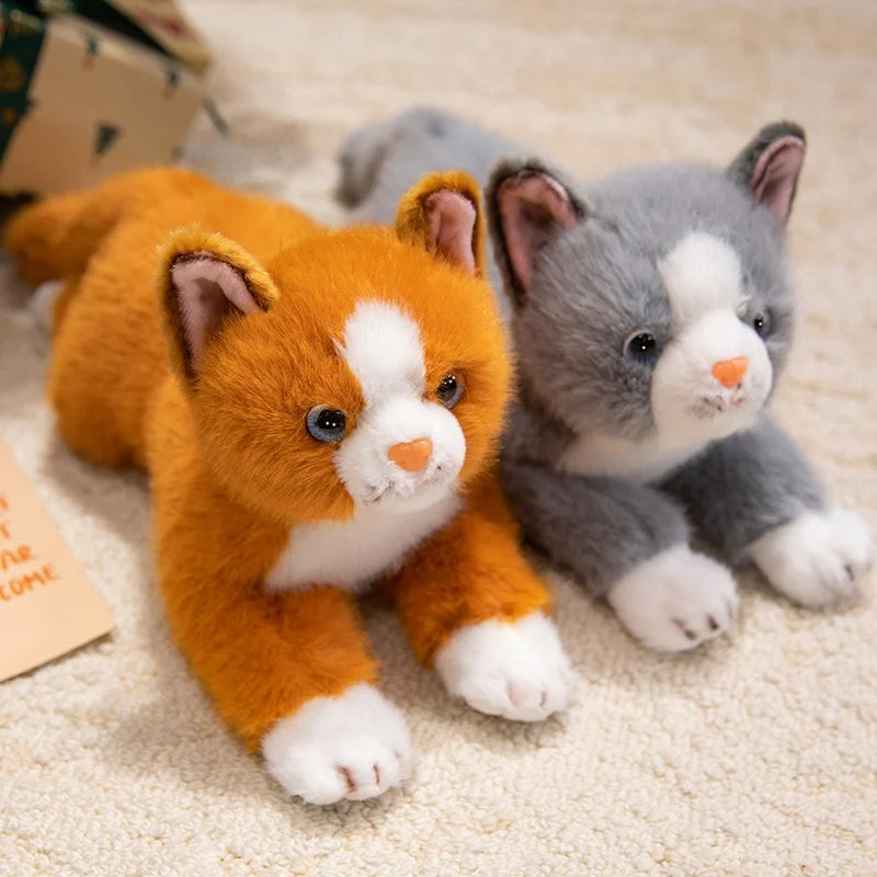 peluche chat 