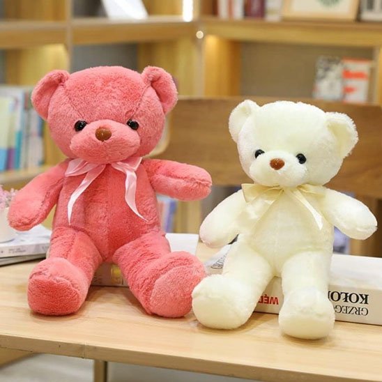 Ours  peluche 
