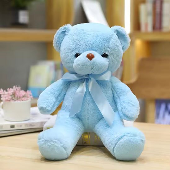 Ours peluche 